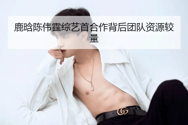 鹿晗陈伟霆综艺首合作背后团队资源较量